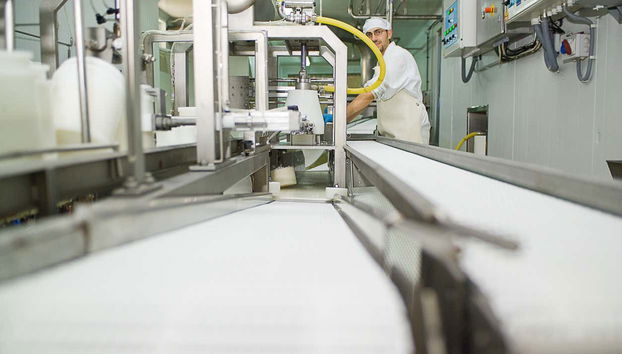 Enjoying the tour of the cheese factory!