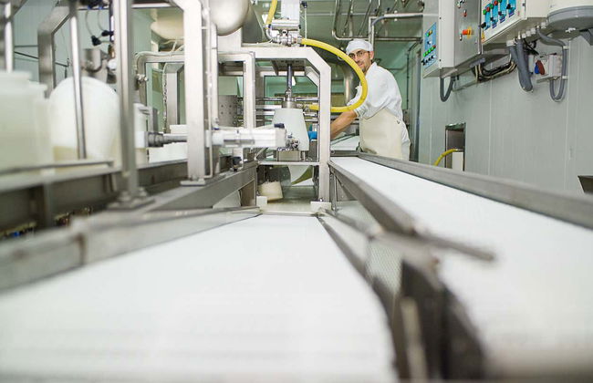 Visit to La Antigua Cheese Factory - Photo 2