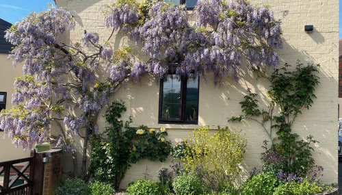 Wellinghill Cottage - Foto 3