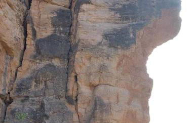 La casica de madera con Jacuzzi exterior y barbacoa - Foto 53