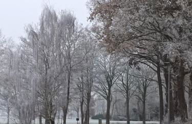 Ediths Haus - Foto 40