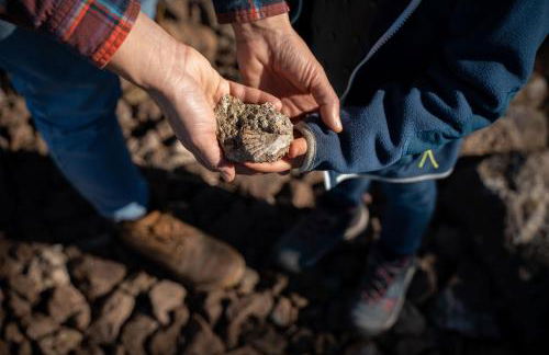 Agriturismo Pietre di Gelo - Foto 7