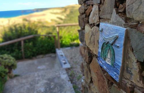 Domo Allegru - Foto 33