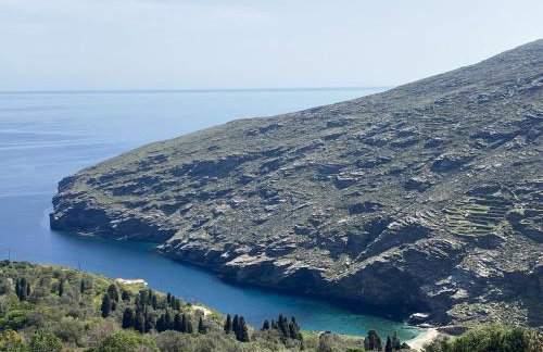 Andros Vineyard house with sea view - Foto 25