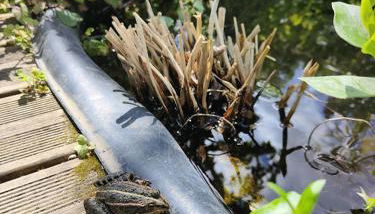 La Maison Bleue de Husseau Ancienne ferme semi-troglodytique 18e siècle - Photo 5