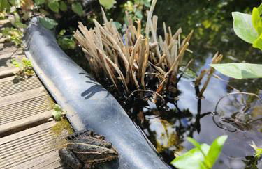 La Maison Bleue de Husseau Ancienne ferme semi-troglodytique 18e siècle - Foto 5