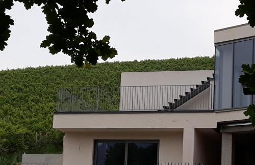 Agriturismo Vitae di Langa - Foto 61