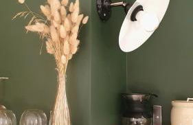 Mas Labrugade - Foto 56