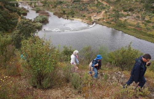 Casas do Almourão - Foto 43
