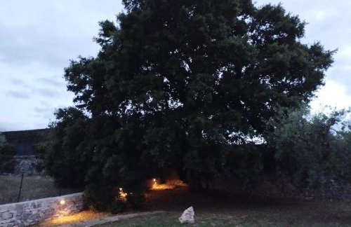 Trulli La Quercia del Nonno - Photo 28