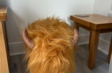 View of the Mountain - Foto 10