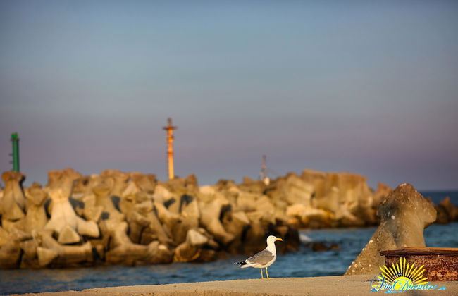 Vila Diandra - Foto 10