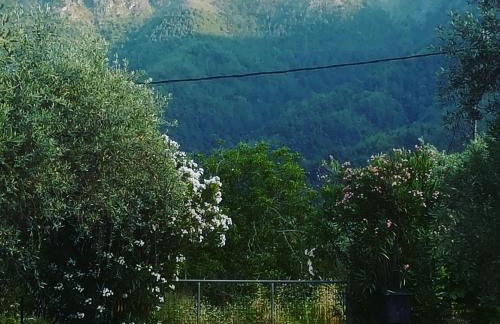 Lucia's Home - Foto 29