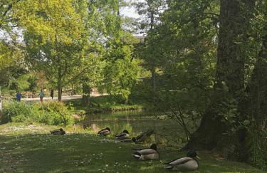 Ferienhaus am Mattheiser Wald - Foto 17
