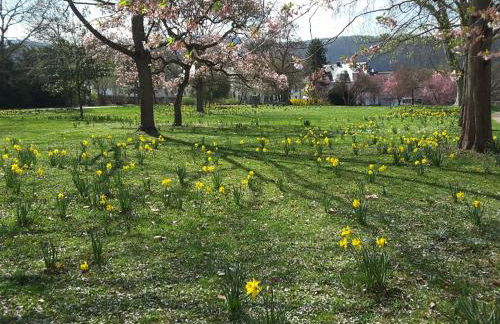 Ferienwohnung Sabine - Foto 20