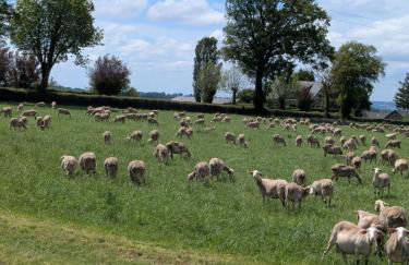 Maison des lacs - Photo 11