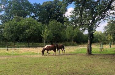 La Forêt Auvray - Maison de campagne - Foto 8