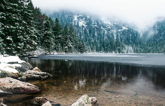 Mountain Apartment in Bad Kotzting - Foto 20