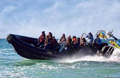 No 3, apartment in the heart of Bridport, Dorset - Photo 40