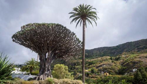 Vista Del Drago - Foto 2