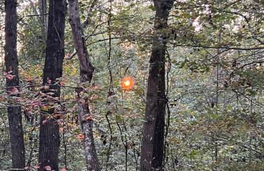 Turkey Creek Cabin Rentals #2 at Tims Ford lake - Foto 48