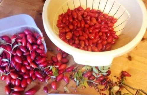 Agriturismo Alla Vecchia Quercia - Foto 76