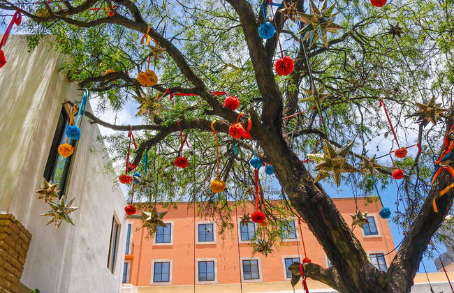 Residencias la Estación San Miguel de Allende - Foto 70