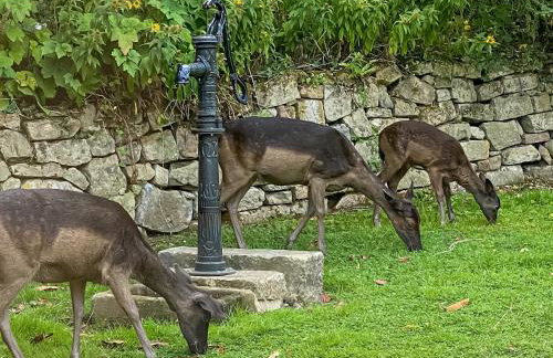 Church Cottage - Foto 22