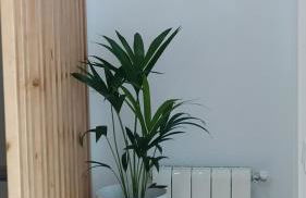 Casa Iulia Emérita Parking Gratis - Foto 24