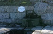 O Salgueiro - Foto 43