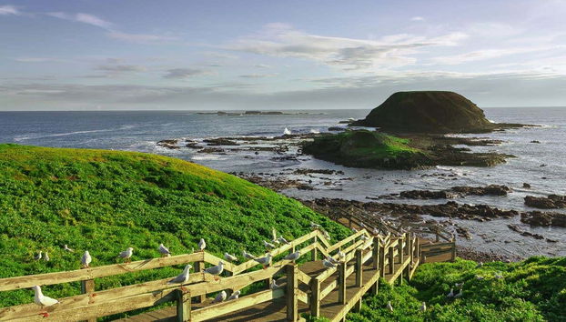 Panoramica su Phillip Island
