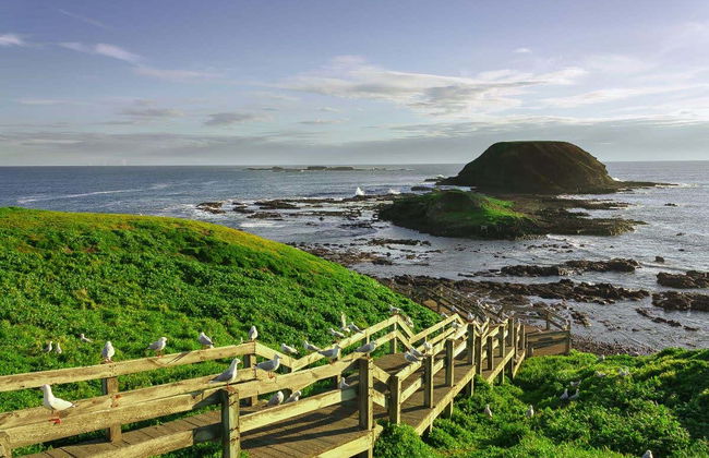 Phillip Island Private Day Trip - Photo 3