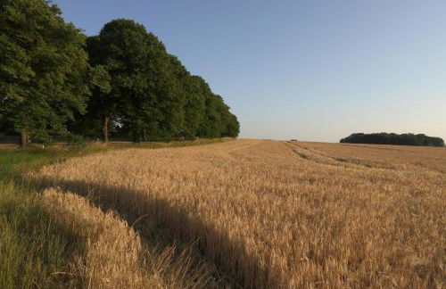 2 Ferienhäuser im Doppelpack für Naturliebhaber, strandnah, ruhig, mit großen Gärten - Foto 58