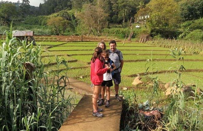 Ruta privada de trekking por Little Adam's Peak - Foto 2