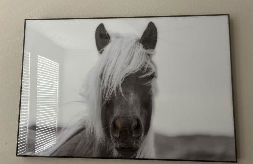 Cowtown 1 bedroom Downtown FTW - Photo 5