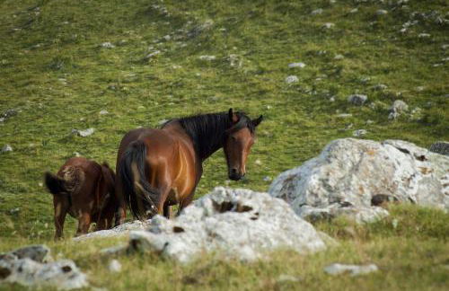 Agriturismo di charme Erbadoro - Foto 91