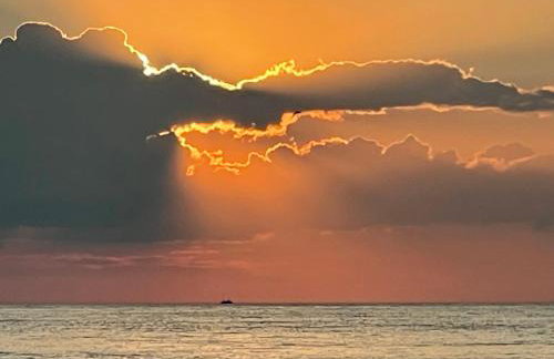 Golden Apartment Rogowo - Foto 38