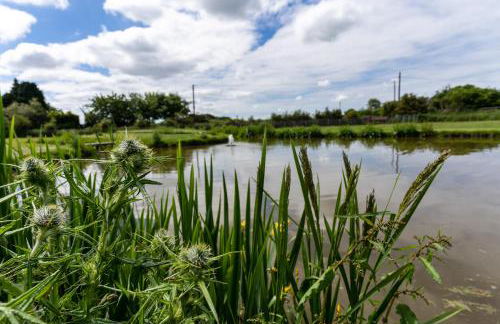Ye Old Lambing Lodge - Spring Paddock - Photo 12