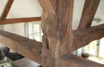 Ferienwohnung am Elbdeich - Foto 11