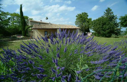 Le Mas de Fournery - Photo 18