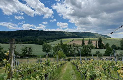 Ferienwohnung am Rathaus - Foto 30
