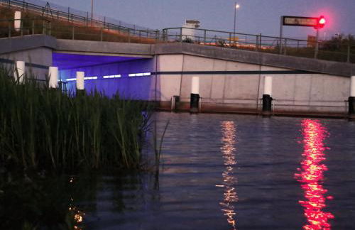 Ferienwohnung Seenland - Photo 24