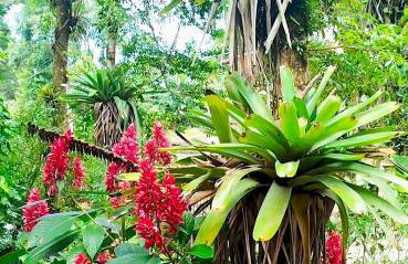 Chalé Bosque da Pedra - Foto 8