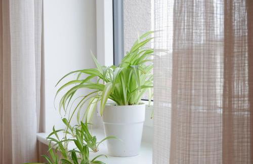 Ferienhaus Dorfleben - Foto 38