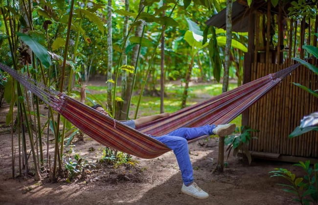 Tronco Tambopata Adventure - Photo 59