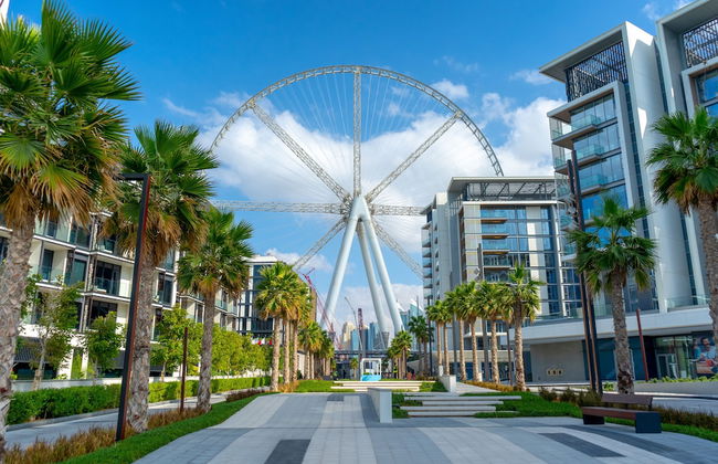 FAM Living - Bluewaters Island - Ain Dubai - Photo 22