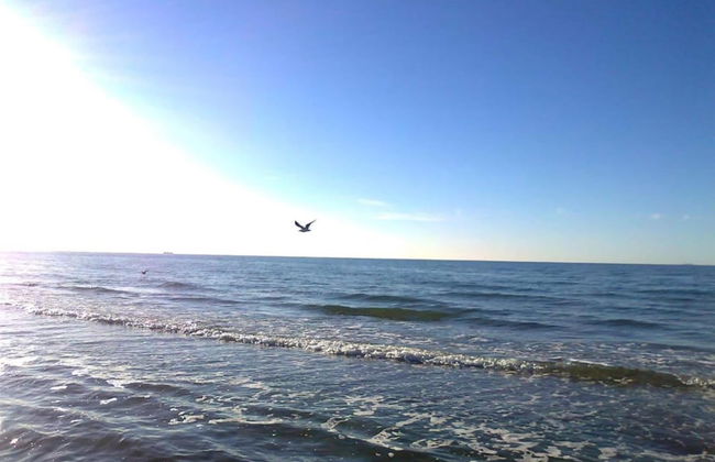 Exklusiver Bungalow mit Terrasse in Rerik - Foto 39