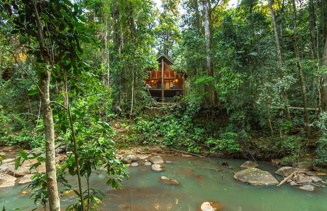 The Canopy Rainforest Treehouses and Wildlife Sanctuary - Foto 1