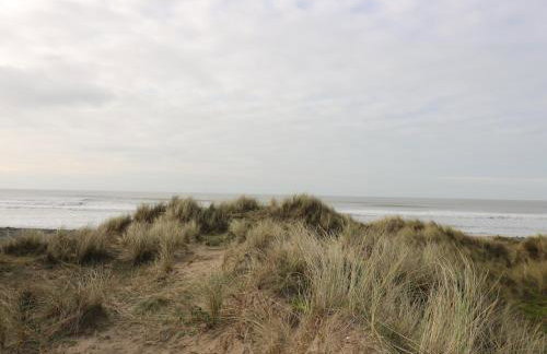 Y Felin - Moana - Foto 33