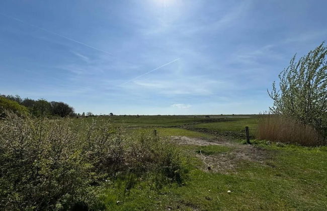 10 Person Holiday Home in Dragor-by Traum - Foto 13